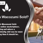 Discovering the Best Places to Find Wacozumi